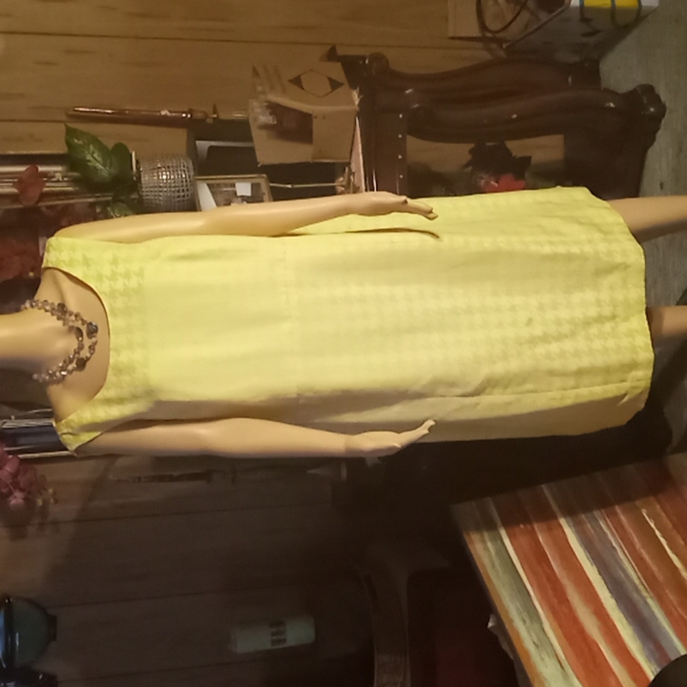 Kasper  women dress  sleeve less.